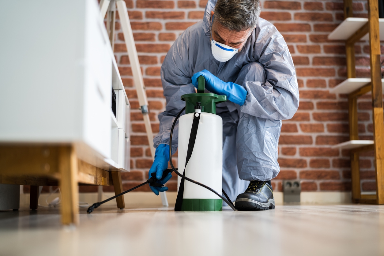 4 Great General Pest Control Tips for Texas Homes
