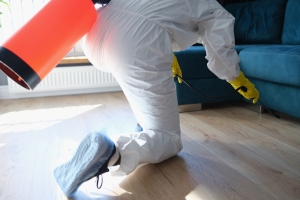 A Comprehensive Guide to Pest-Proofing Your Home