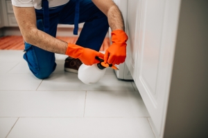 Why You Need Quarterly Residential Pest Control 