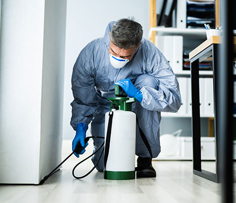 Pest control professional spraying a kitchen
